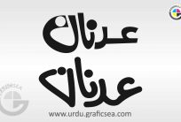 2 Different Style Urdu Name Adnan Calligraphy