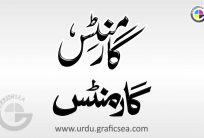 2 Garments Urdu Word Calligraphy Free