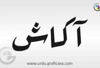 Aakash Shop Name Urdu Calligraphy