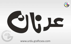 Adnan Urdu Name Calligraphy free