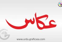 Akkasa Shop aur Business Name Urdu Calligraphy