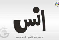 Anas Boy Name Urdu Calligraphy