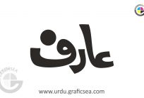 Arif Boy Name Urdu Calligraphy