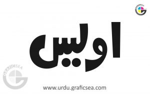 Awais, Owais Muslim Boy Name Urdu Calligraphy