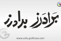 Brothers 2 English Word in Urdu Calligraphy