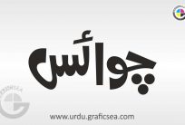 Choice English Word in Urdu Calligraphy