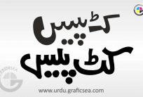 Cut Piece Urdu Word Calligraphy Free