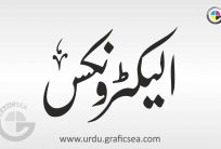 Electronics Urdu Word Calligraphy Free