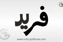 Fareed, Farid Urdu Name Calligraphy Free