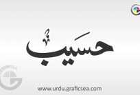 Haseeb Urdu name Calligraphy Free