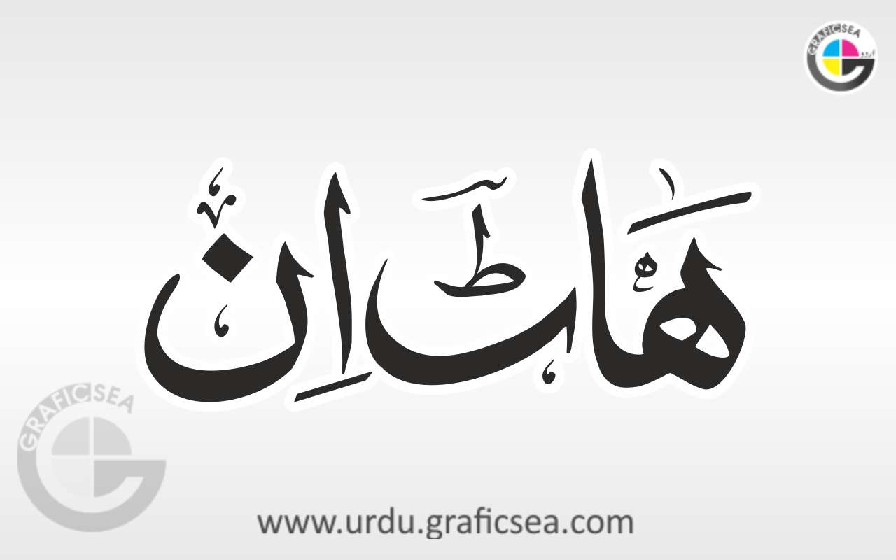 Hot Inn English Shop Name In Urdu Calligraphy