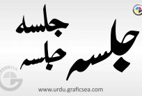 Jalsa 3 Urdu Different Font Calligraphy