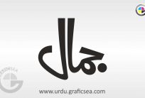 Jamal Man Name Urdu Calligraphy Free