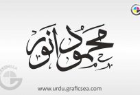 Mehmood Anwar Urdu Name Calligraphy Free