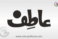 Muslim Boy Name Atif Urdu Calligraphy