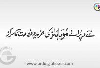 Naye wa Purane Mobile Urdu Word Calligraphy