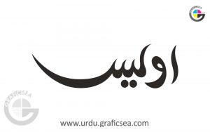 Owais Muslim Boy Name Urdu Calligraphy