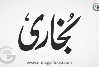 Bukhari Urdu Cast Name Calligraphy Free