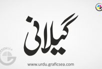 Ghillani Urdu Cast Name Calligraphy Free