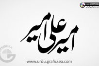 AmeerAli Ameer Urdu Name Calligraphy