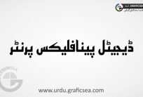 Digital Penaflex Printer Urdu Calligraphy Free
