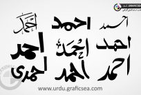 9 Style Write Ahmad Name Calligraphy