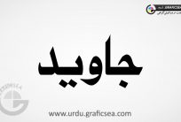 Javeed Urdu Name Calligraphy Free
