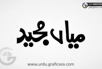 Mian Majeed Urdu Name Calligraphy Free