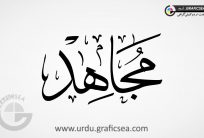 Mujahid Urdu Name Calligraphy Free
