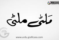 Multi English Word Urdu Calligraphy Free