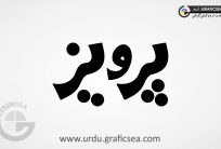 Pervaiz Urdu Name Calligraphy Free