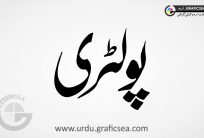 Poltery Shop Name Urdu Calligraphy