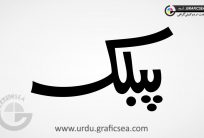Public Urdu Word Calligraphy Free