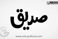 Sadique Urdu Name Calligraphy Free