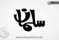 Salman Urdu Name Calligraphy Free