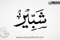 Shabir Urdu Name Calligraphy Free