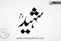 Shaheed Urdu Word Calligraphy Free