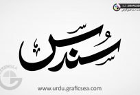 Sundas Urdu Girl Name Calligraphy Free