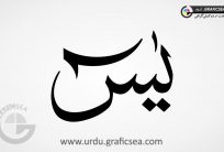 Yaseen Urdu Word Calligraphy Free