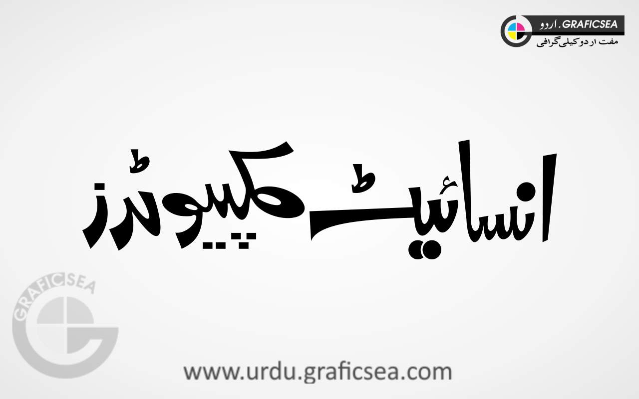 Insight Computers Urdu Calligraphy