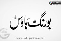 Boring House Urdu Font Calligraphy