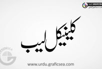 Clinical Lab Urdu Font Calligraphy