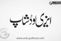 Easyload Shop Urdu Font Calligraphy