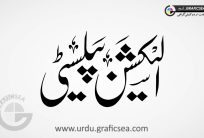Election Publicity Word Urdu Font Calligraphy