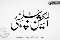 Election Publicity nastaliq Urdu Font Calligraphy