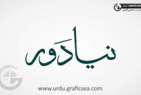 Naya-Dour-Urdu-Word-Calligraphy