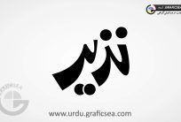 Nazeer-Urdu-Name-Calligraphy