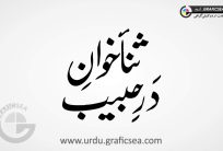 Sanakhawan e Dar e Habib Urdu Word Calligraphy