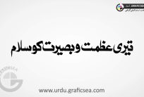 Teri Azmat o Basirat ko Salam Urdu Word Calligraphy