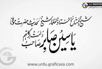Yaseen, Yasin Sabir Urdu Calligraphy
